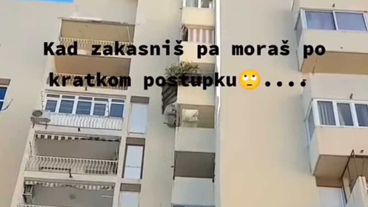 Splićanin i jelka