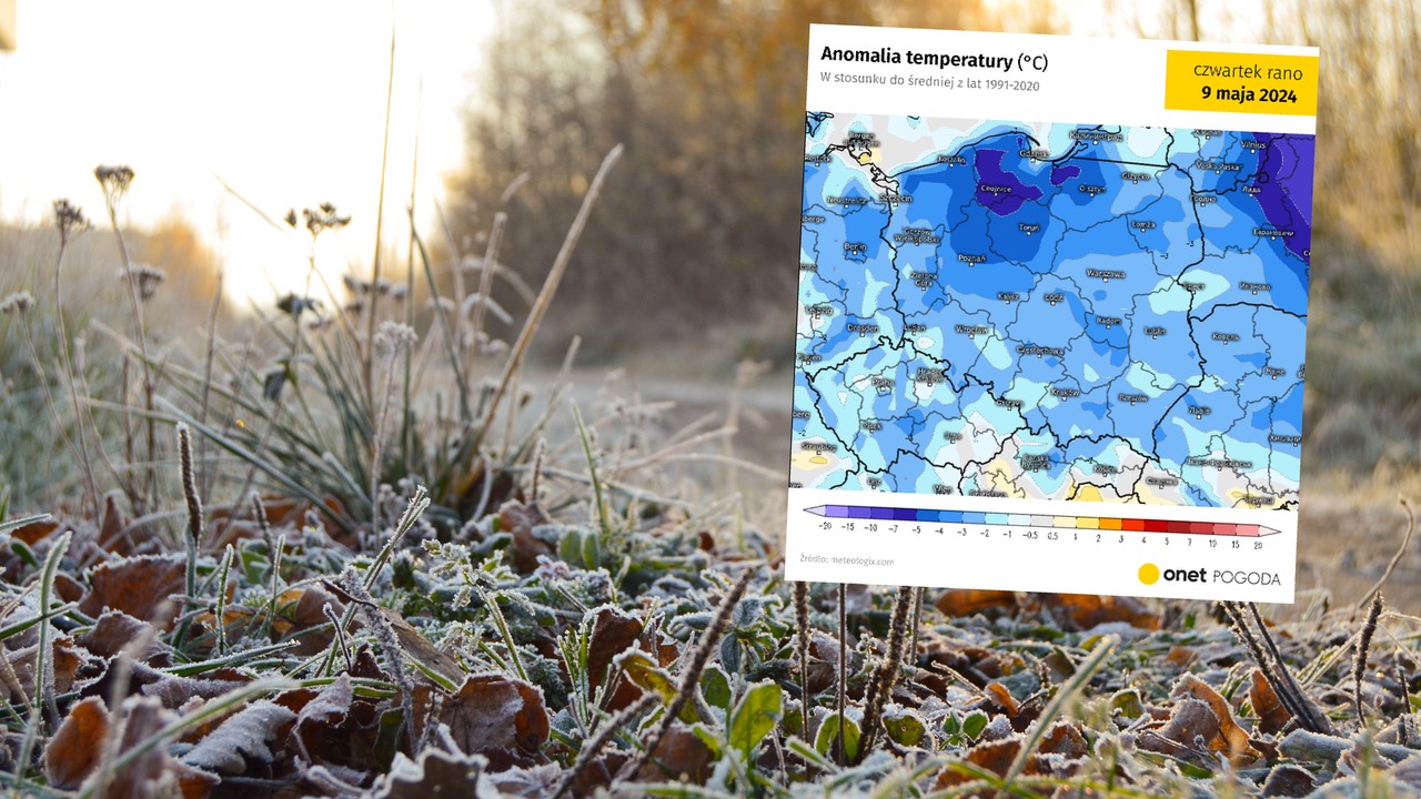 Arktyczny podmuch sprowadzi przymrozki. W nocy nawet -5 st. C [PROGNOZA]