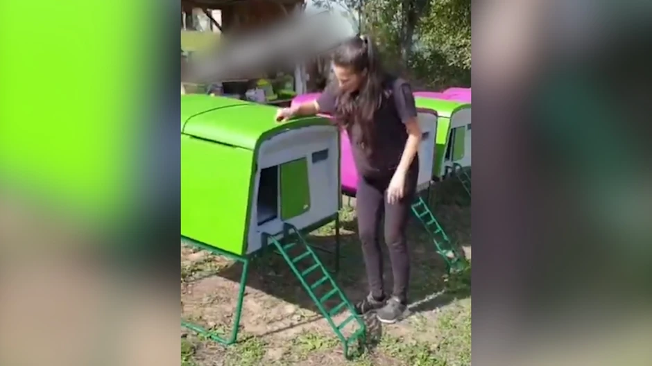 Marija Petronijević 