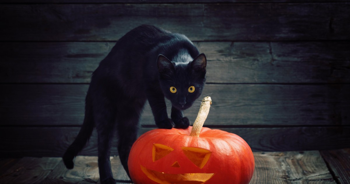 Duchy wracają na ziemię. Skąd się wzięło Halloween?