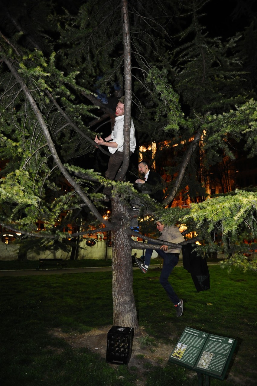 Neki su se u znak protesta popeli na drvo