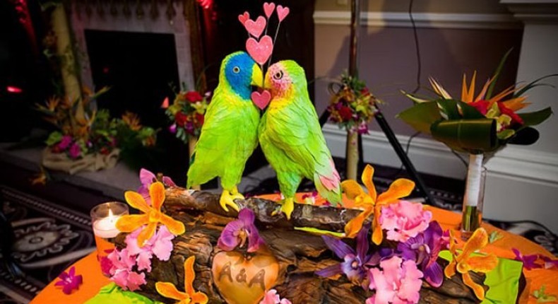 Lovebirds Cake