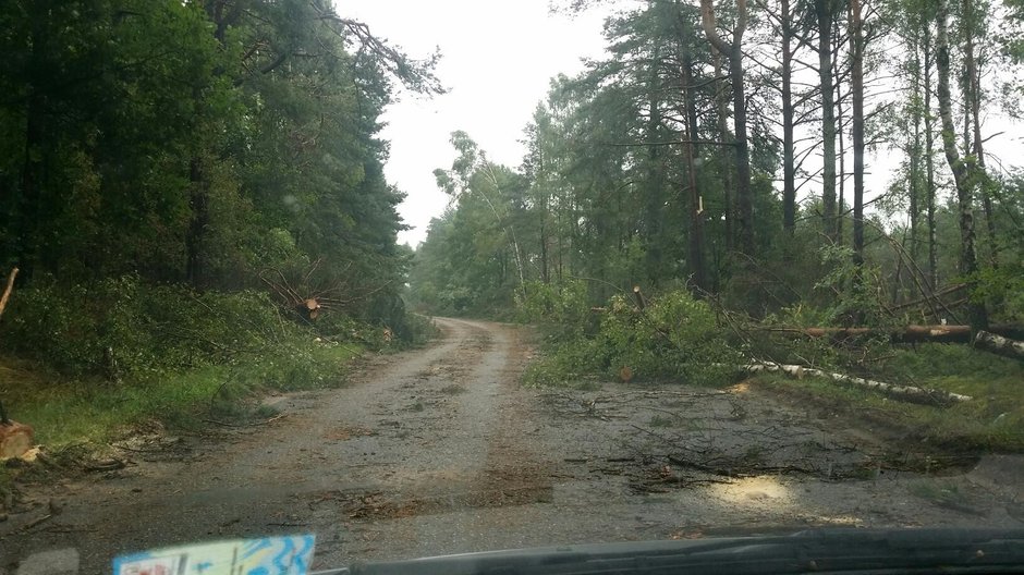 Skutki nawałnicy w Suszku