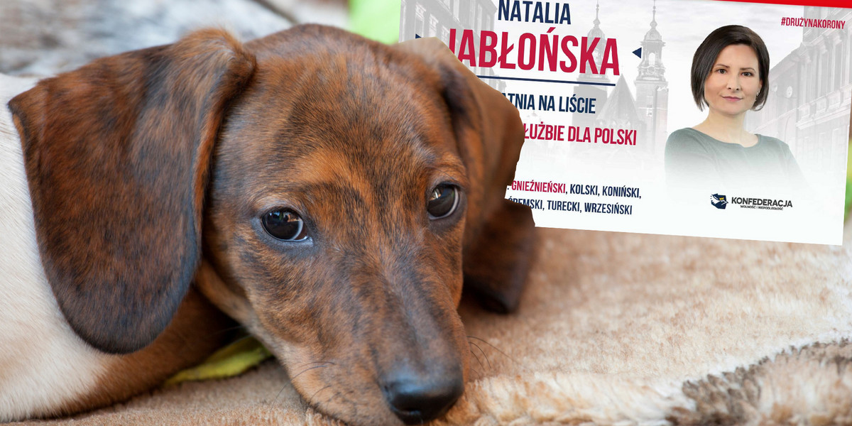 Natalia Jabłońska została usunięta z list Konfederacji za wpis o psach.