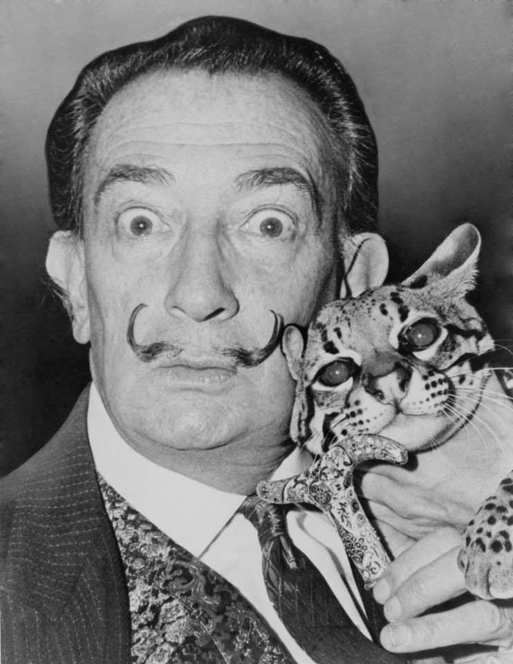 Sławni właściciele kotów: Salvador Dali