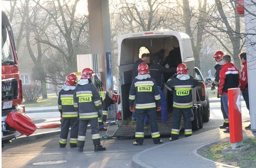 Strażacy uwolnili konia z pułapki