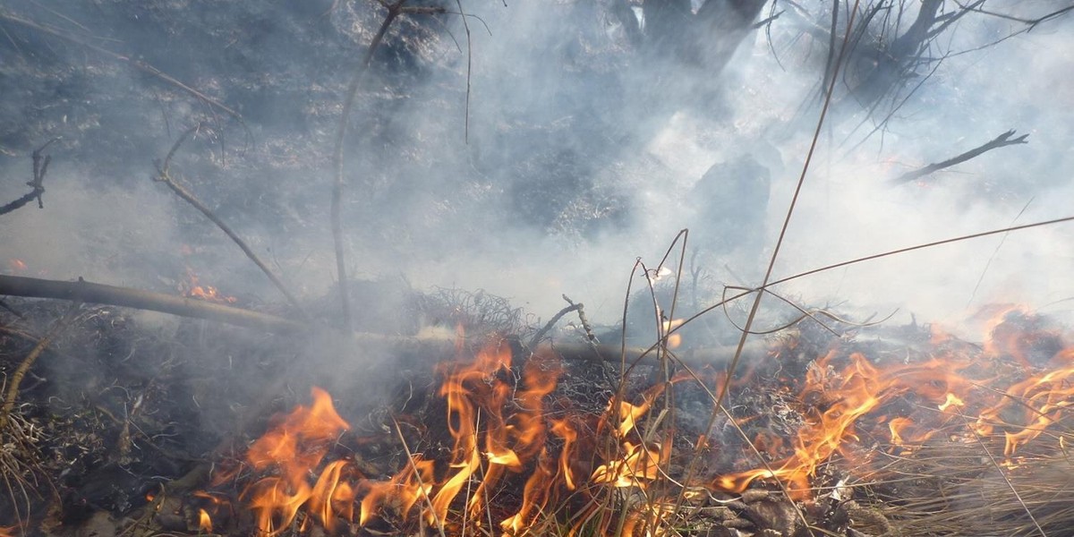 Tragiczny pożar traw na Podkarpaciu