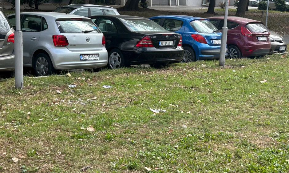 Trava sa mrtvim golubovima