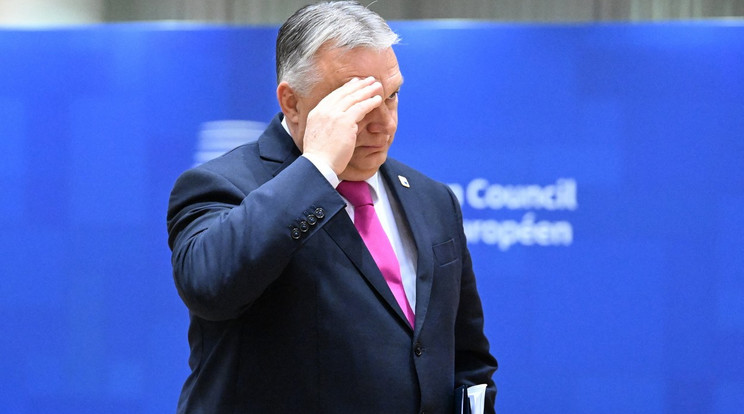 Orbán Viktor nem vétózott, de nem is szavazott, kivonult a teremből / Fotó: Profimedia