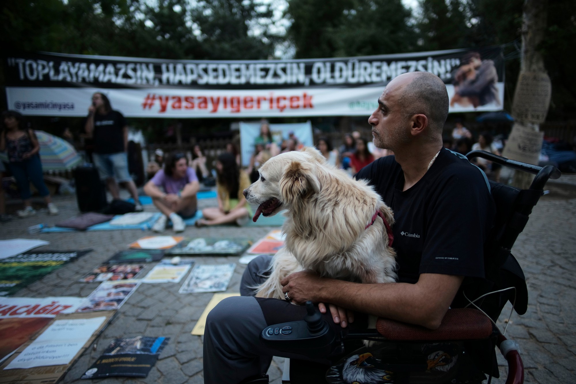 Turecká vláda tvrdí, že ustanovenie o eutanázii je potrebné, aby sa zabránilo útokom psov a šíreniu besnoty.