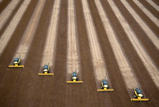 Taniej już nie będzie