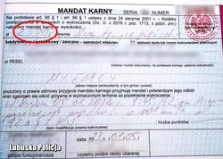 Pierwszy Niemiec dostał rekordowy mandat w Polsce. Szalał na autostradzie A2