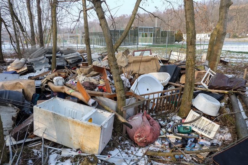 Tak wygląda okolica Cytadeli, zielonej oazy w centrum Poznania