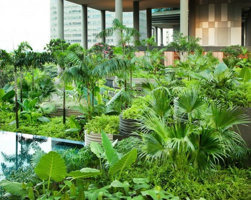 Hotel Park Royal w Singapurze jest eko
