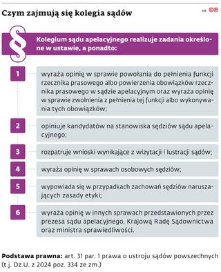 Czym zajmują się kolegia sądów