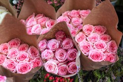 Ta liczba kwiatów w bukiecie przynosi pecha. Lepiej go nie wręczać