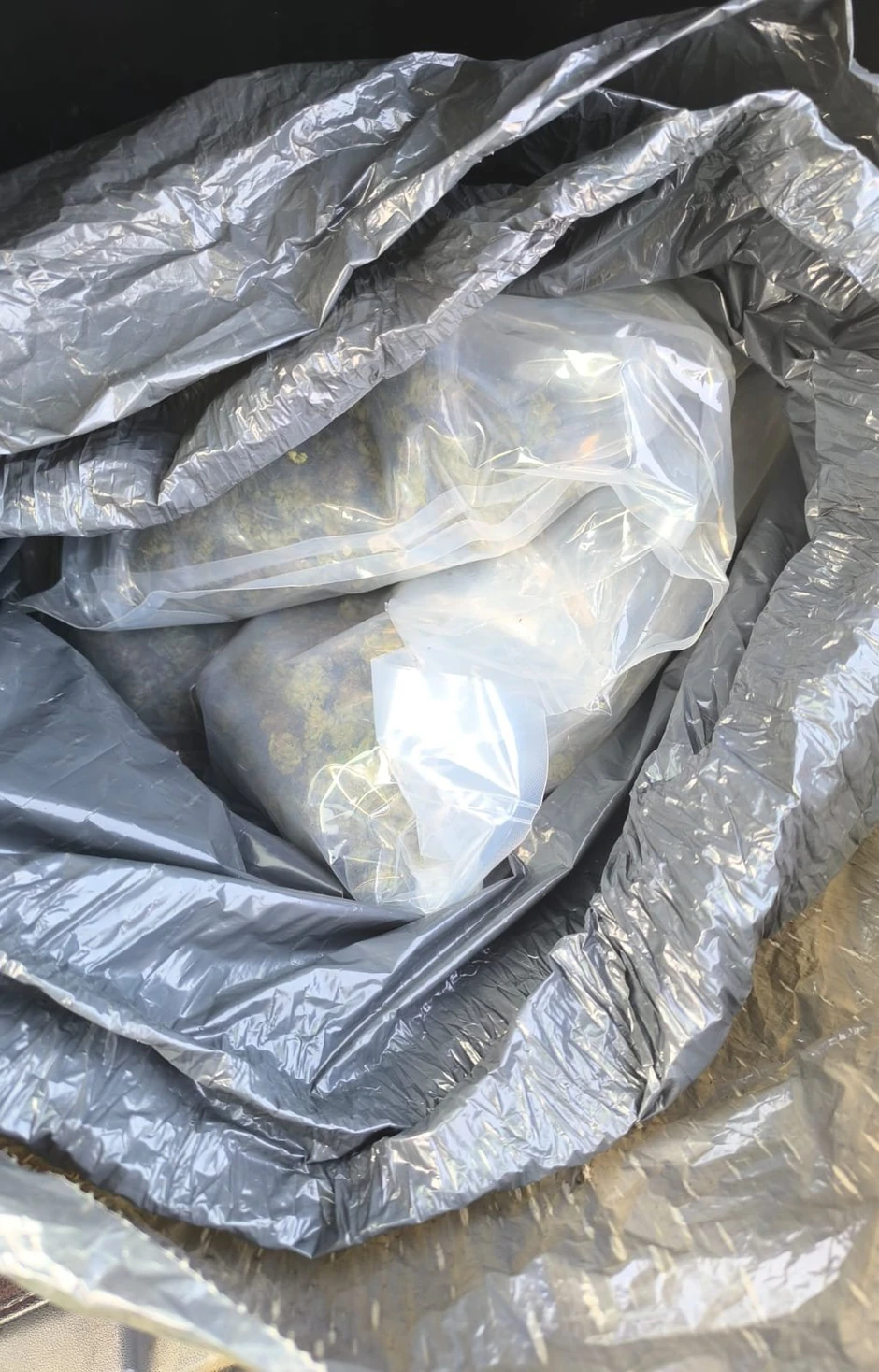 Zaplenjena marihuana