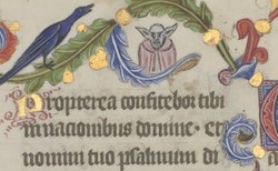 Mistrz Yoda w psałterzu sprzed 600 lat? Niezwykłe odkrycie. Cenny polski zabytek zaskakuje badaczy [ZOBACZ ZDJĘCIA]