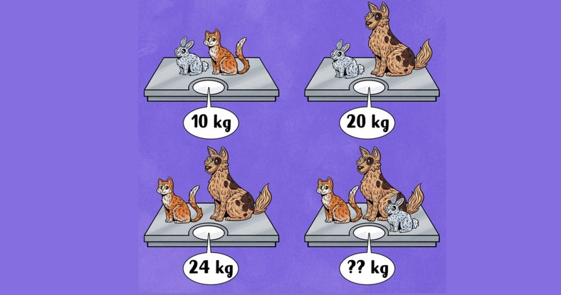 Ile ważą wszystkie zwierzęta?