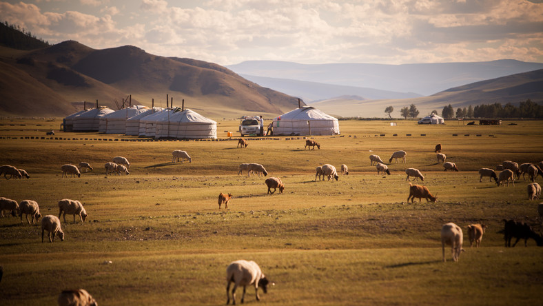 Znalezione obrazy dla zapytania mongolia