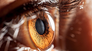 Budowa oka – funkcje rogówki i siatkówki