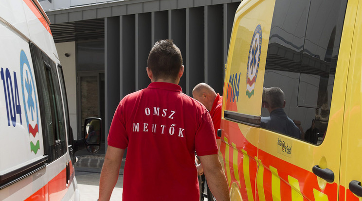 Mesehősökkel segítenek a mentők a gyerekeknek a segítségnyújtásban / Fotó: MTI Fotó: Balázs Attila
