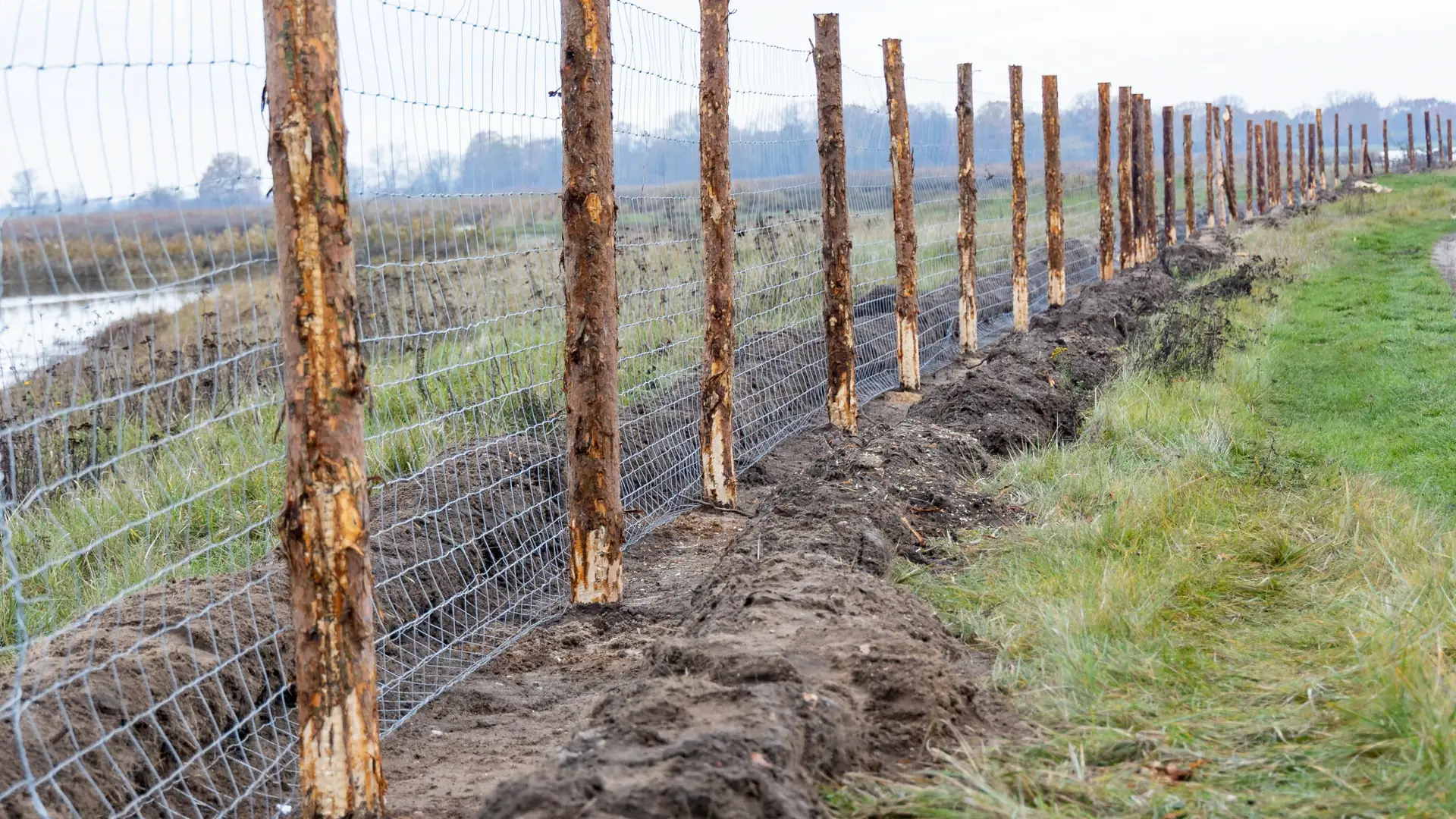 Między Małopolską a Podkarpaciem powstanie płot długi na 40 km