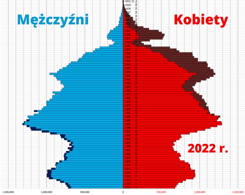 Wykres pokazujący demografię Rosji na początku 2022 r. — po lewej dane dotyczące mężczyzn, po prawej — kobiet. Oś pionowa wyznacza datę urodzenia, a pozioma liczbę ludności.