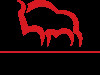 pekao logo