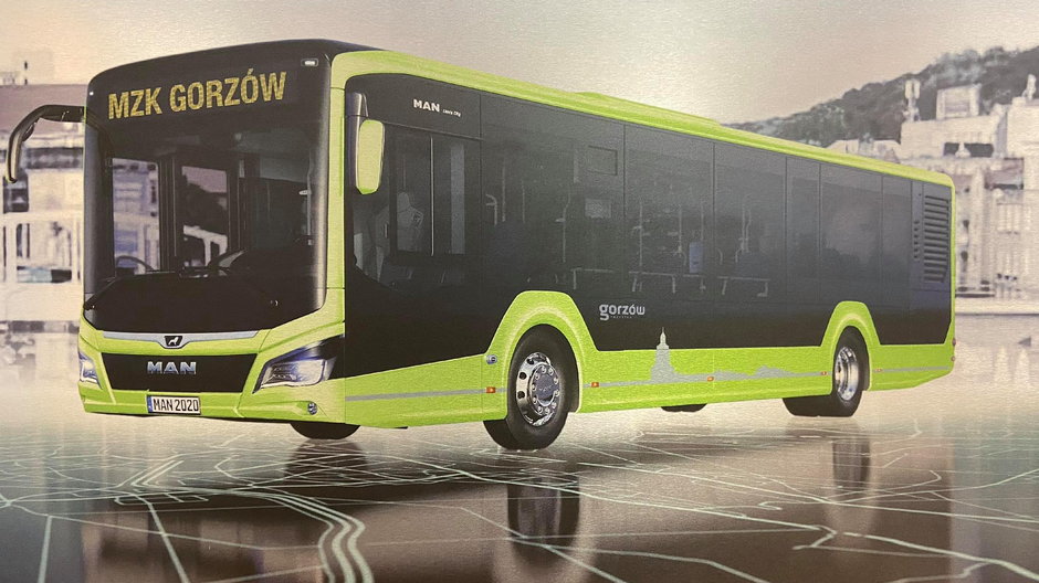 Nowe autobusy MAN dla Gorzowa