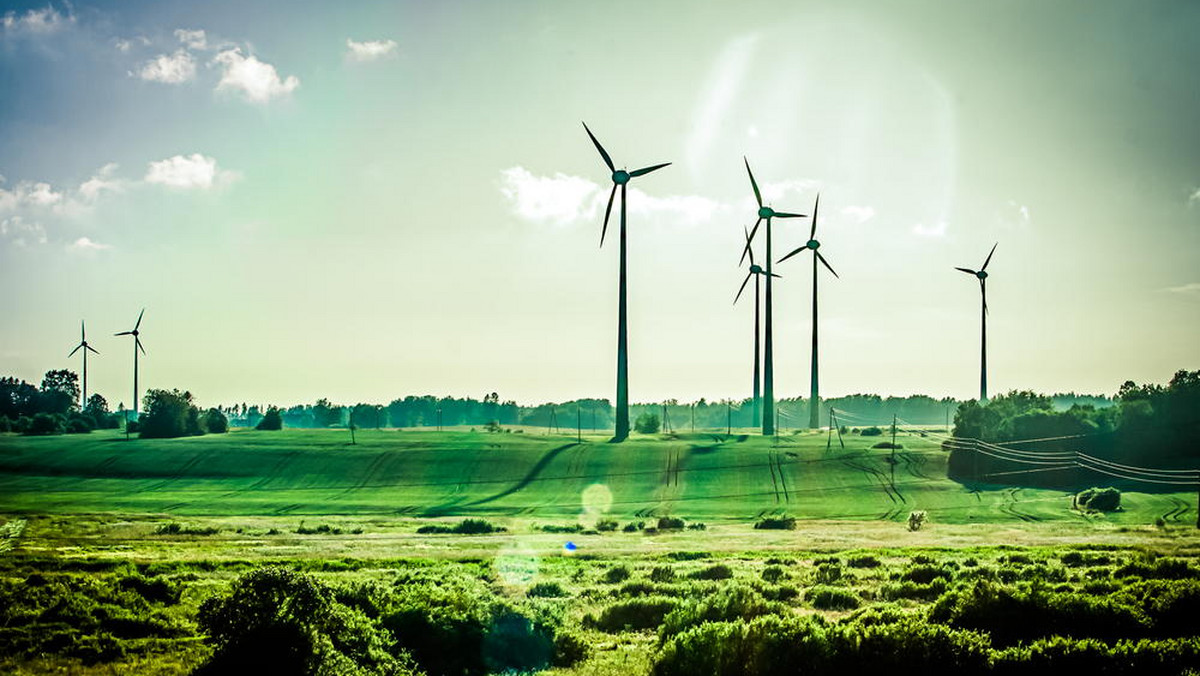 Sejmowa Komisja ds. Kontroli Państwowej zdecydowała w czwartek, że skieruje do NIK wniosek o przeprowadzenie dodatkowej kontroli lokalizacji i budowy lądowych farm wiatrowych. NIK w lipcu negatywnie oceniła proces powstawania takich elektrowni w Polsce.