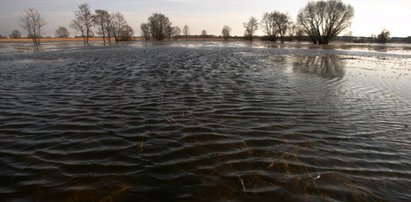 Są już pierwsze podtopienia. Wiele gospodarstw odciętych od świata