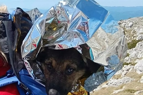 Herojski potez planinara u Bosni: Našli je na 2.000 metara v