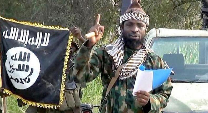 Abubakar Shekau, Boko Haram Leader