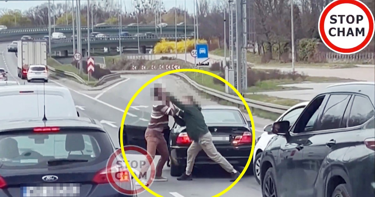 S8 w Warszawie zamienił się w ring. Kierowcy boksowali na jezdni