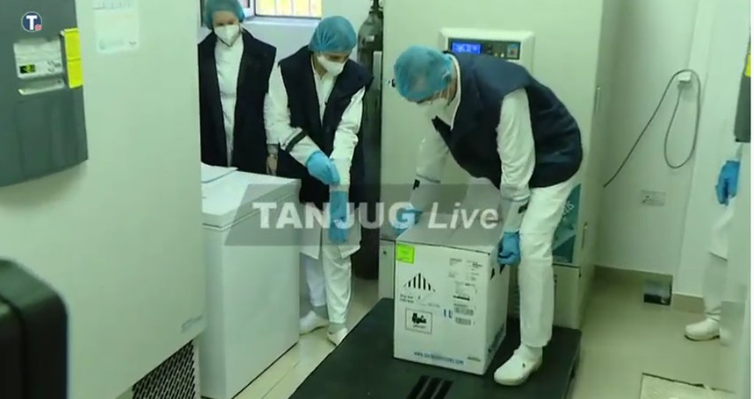 fajzerova vakcina torlak