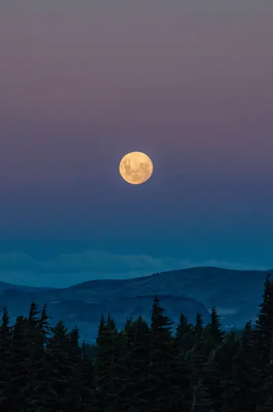 Horoskop lunarny wskaże twoje słabe i mocne strony / Pexels