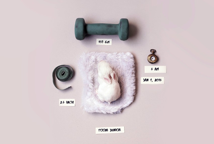 Dobro došla, Madam Fru Fru!