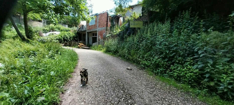 Manastir najmanje selo u Nišavskom okrugu ima samo četiri stanovnika