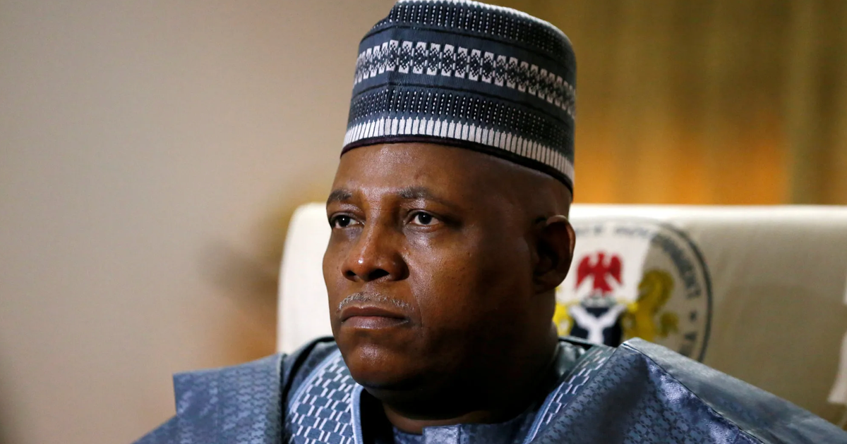 VP Shettima chairs crucial NEC session as Tinubu nurses knee surgery - Vimarsana News