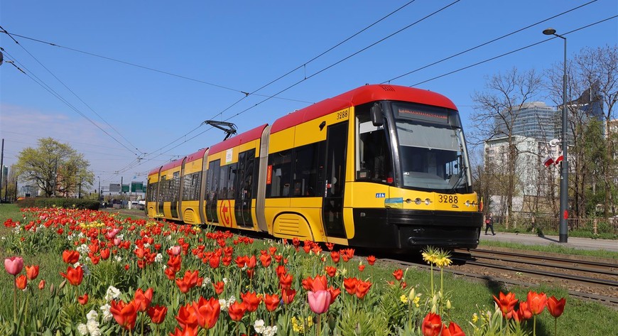 Urzędnicy zapewniają, że pięknie będzie na wiosnę, kiedy na pętlach komunikacji miejskiej zakwitną tulipanowe dywany.