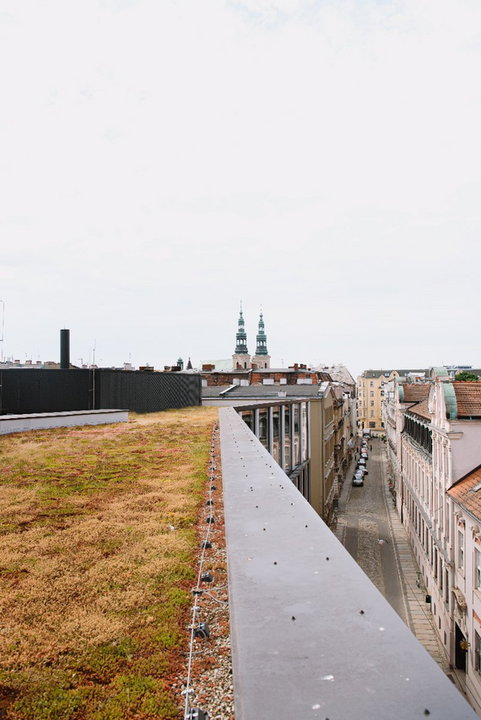 Poznań: zielony dach na swoim domu? Możesz liczyć na dofinansowanie