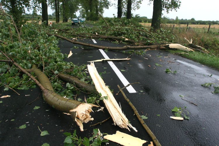 Wiele dróg zostało zablokowanych przez połamane konary