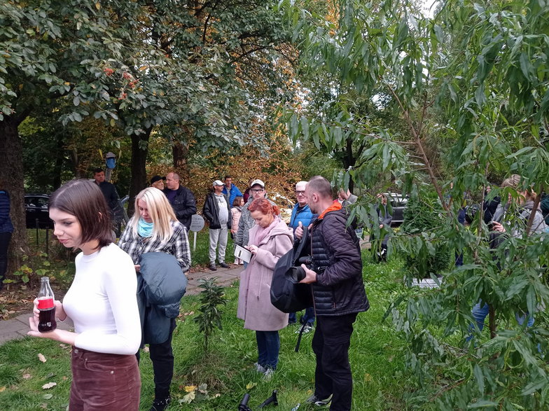 Piknik sąsiedzki z okazji pierwszych urodzin łódzkiego Konia Bałutka 