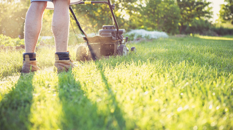 Lenyírta a füvet a betörő, mielőtt ellopta a fűnyírót /Illusztráció: Pexels