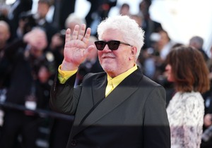 Pedro Almodovar