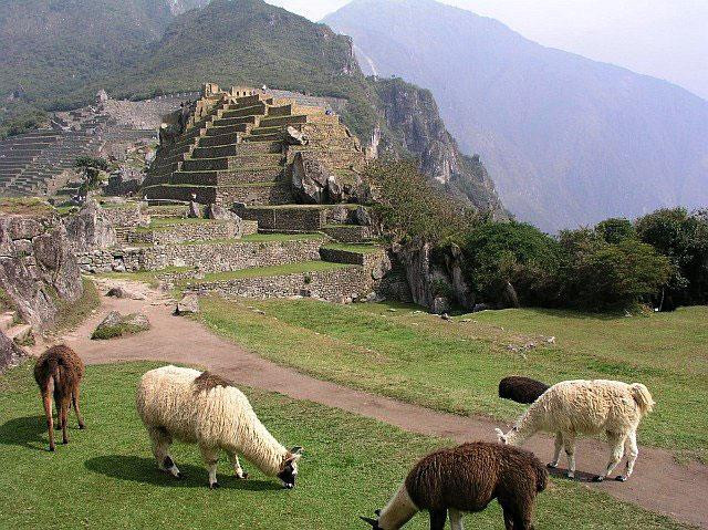 Galeria Peru – inkaską autostradą do Machu Picchu, obrazek 57