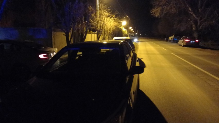 Novi Sad Veternik ubistvo