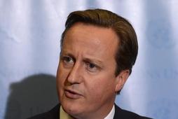 Premier Wielkiej Brytanii David Cameron twarz