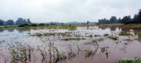 Podtopienia w Dąbrowie Tarnowskiej